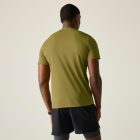 Regatta Mindo AIsct S/S T Férfi póló barna