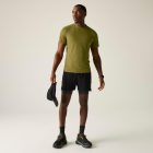 Regatta Mindo AIsct S/S T Férfi póló barna