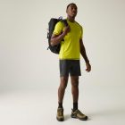 Regatta Virda Férfi póló sárga