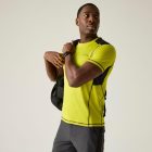 Regatta Virda Férfi póló sárga