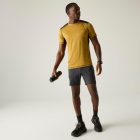 Regatta Virda Férfi póló sárga