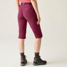 Regatta Xrt Capri Light női technikai capri piros