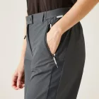 Regatta Mountain ShortsII női technikai short szürke