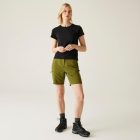 Regatta Chaska Shorts III Női short zöld