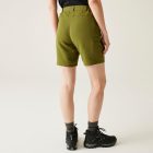 Regatta Chaska Shorts III Női short zöld