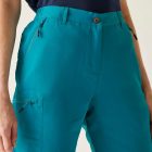 Regatta Chaska Shorts III Női short kék