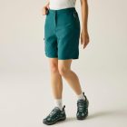 Regatta Chaska Shorts III Női short zöld