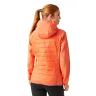 Regatta Wms Andreson VIII Női hybrid felső narancs