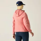 Regatta WmsAndresonHy Női hibrid felső rózsaszín/korall/pink 