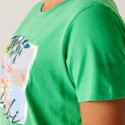 Regatta Filandra IX Női pamut póló zöld