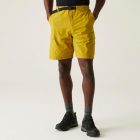 Regatta Mallen Short Férfi rövidnadrág sárga