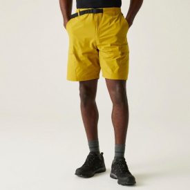 Regatta Mallen Short Férfi rövidnadrág sárga