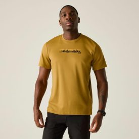 Regatta Fingal Slogan Férfi póló barna