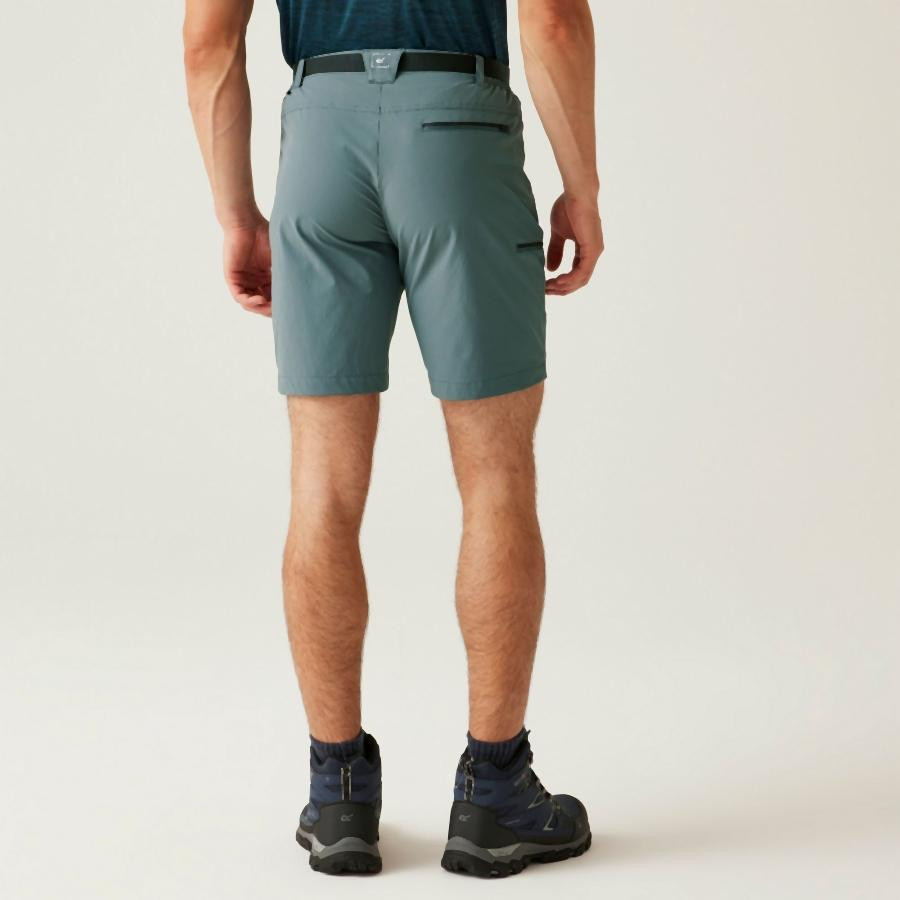 Regatta Xert StrShort III férfi technikai short zöld