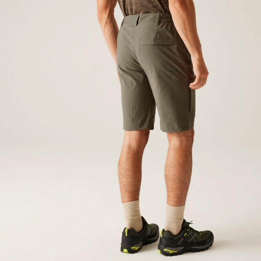 Regatta HightonShortLngII Férfi technikai short zöld