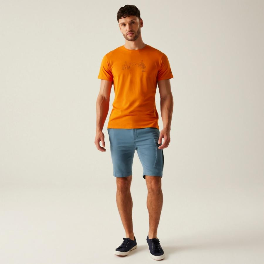 Regatta Bendrick Shorts Férfi short zöld