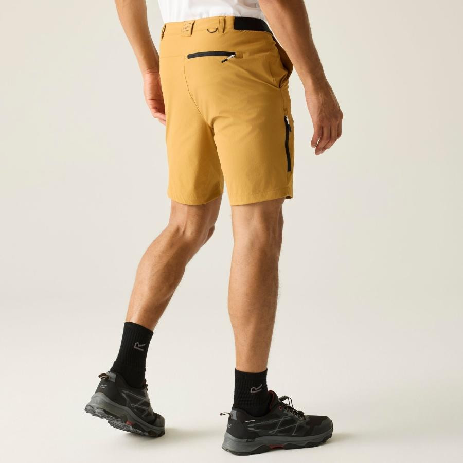 Regatta A-instTvlLtShts Férfi technikai short barna