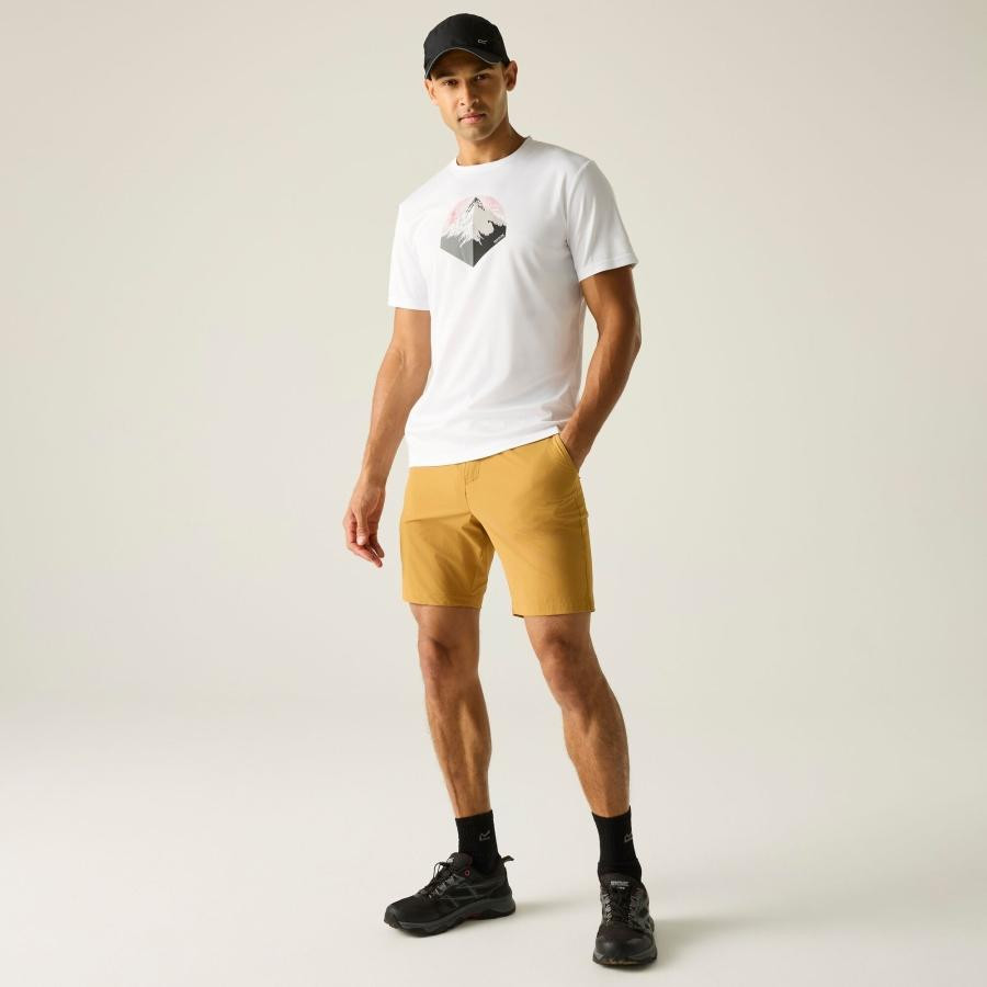 Regatta A-instTvlLtShts Férfi technikai short barna