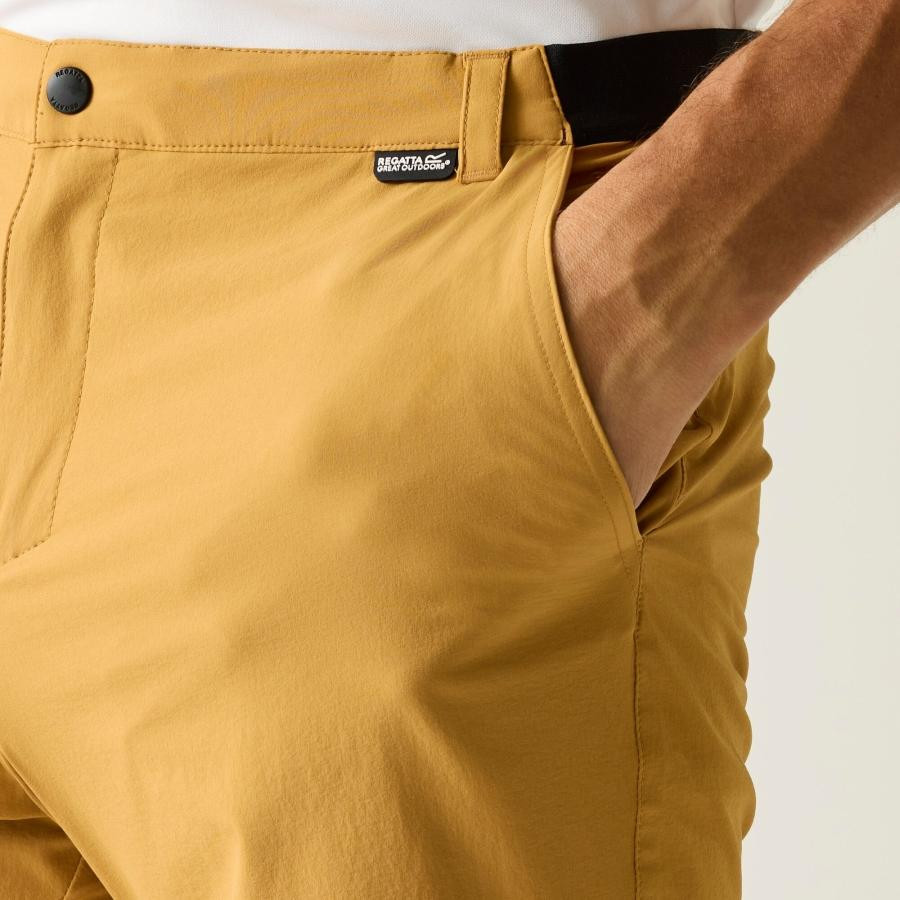 Regatta A-instTvlLtShts Férfi technikai short barna