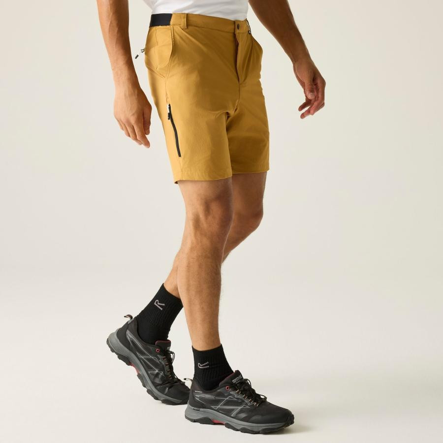 Regatta A-instTvlLtShts Férfi technikai short barna